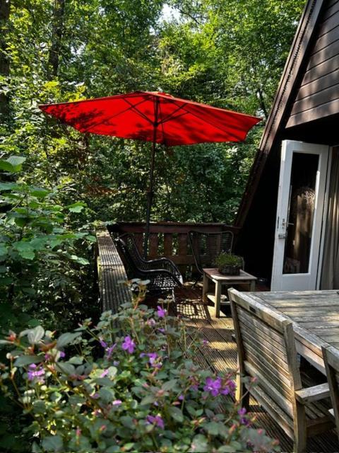 Chalet Woods Durbuy Exterior photo